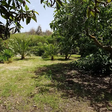 Villa Secchi Bifamiliare Sul Mare Iunp4784 *