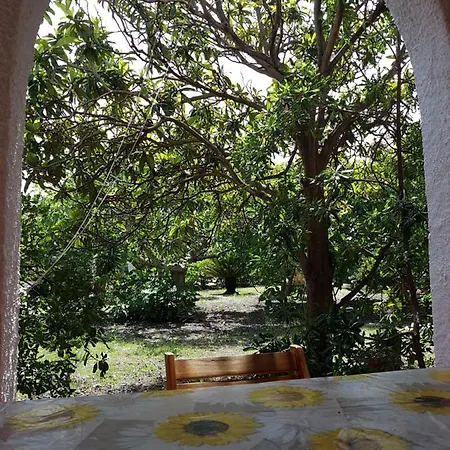 Secchi Bifamiliare Sul Mare Iunp4784 Villa *