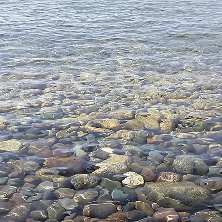 Secchi Bifamiliare Sul Mare Iunp4784 Villa